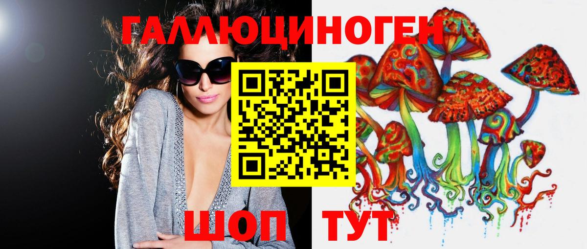 Тосно  Галлюциногенные грибы прущие грибы  Вход с VPN 